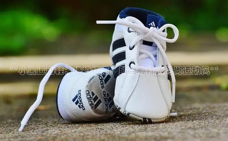 意昂2体育在线平台登录百度百聘**小黑运动鞋：终极指南，助力你打造时尚运动风**