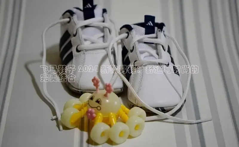 意昂2颐驰 06飞马鞋子 2024 新款男鞋：舒适与时尚的
完美结合