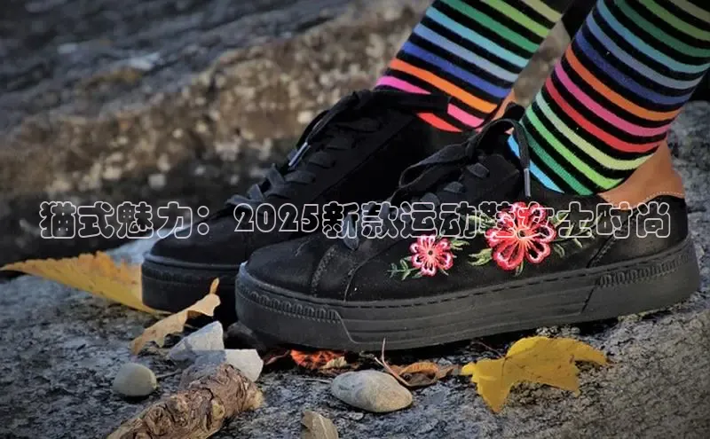 猫式魅力：2025新款运动鞋女士时尚